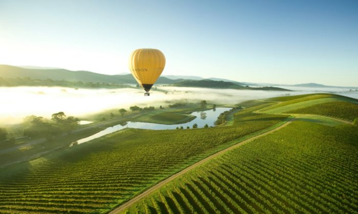 Burgundy at Yarra Valley, Australia hot air balloon