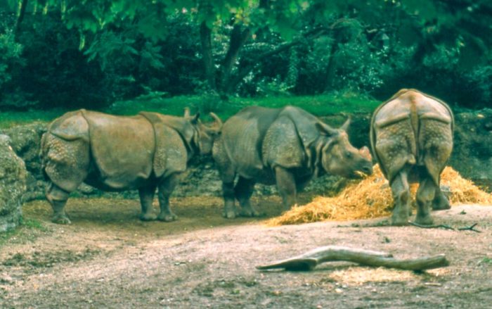 Basel Zoo