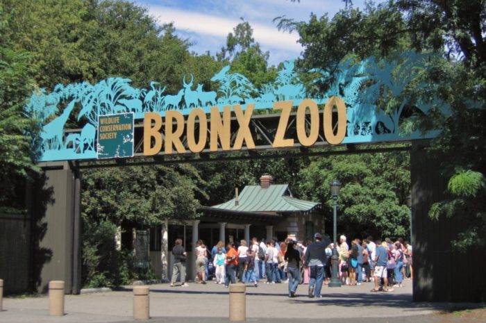 Bronx Zoo