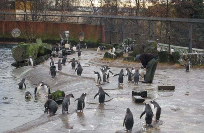 Edinburgh Zoo