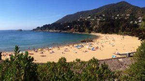 zapallar beach chile