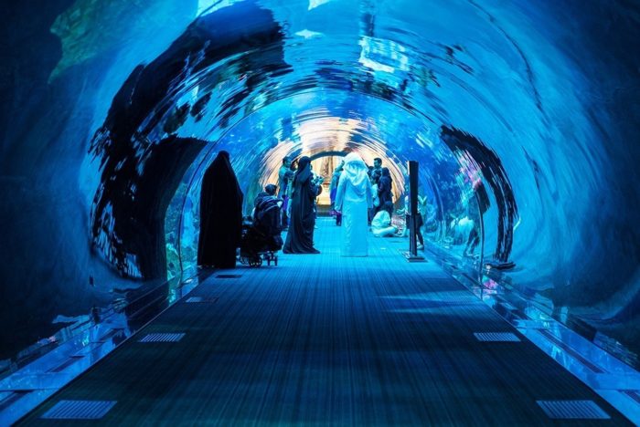 The Dubai Aquarium