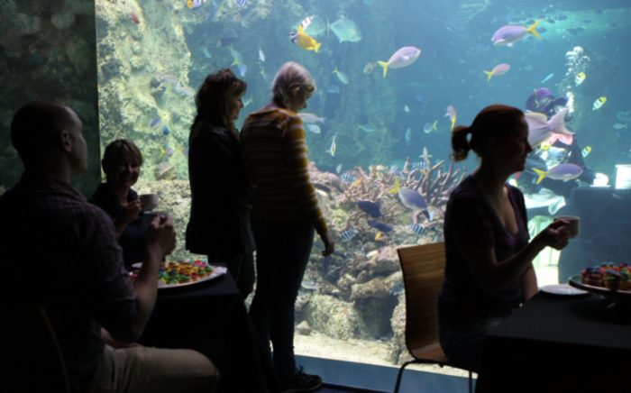 SEA LIFE Sydney Aquarium