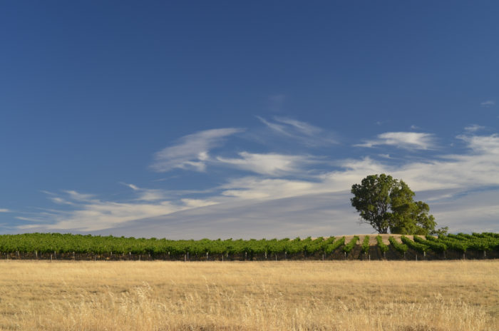 Image 4 - Clare Valley, South Australia