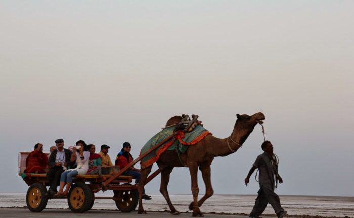 Camel rides and sand artwork