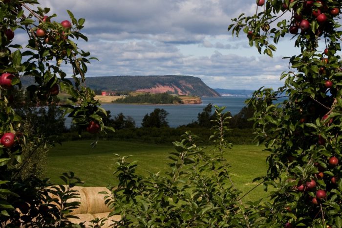 Image 5 - Bay of Fundy