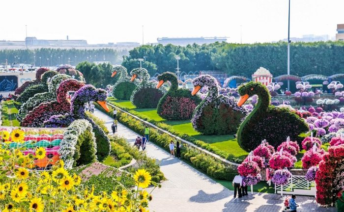 Dubai Miracle Garden