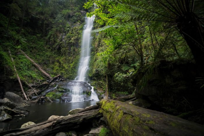 Erskine Falls, Lorne