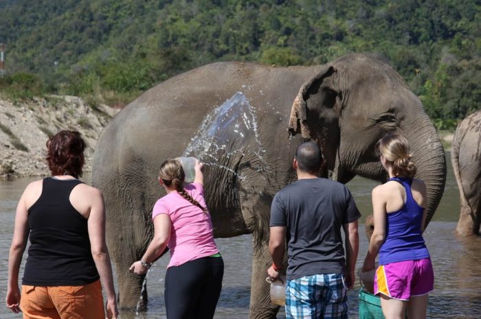 Bathe with the Elephants