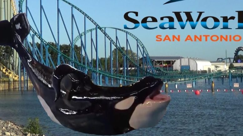 seaworld san antonio