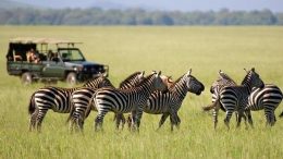 ethically responsible Tanzania safari