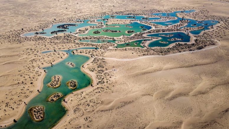 Al Qudra Lake Dubai