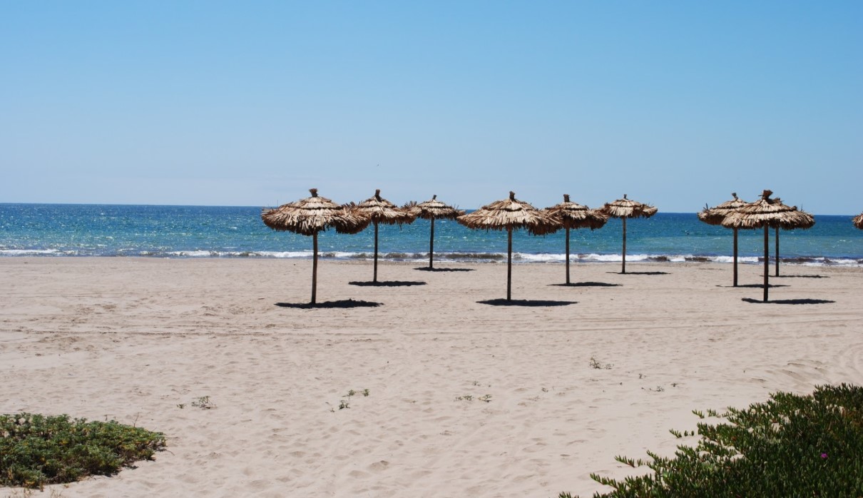 Scort La Serena