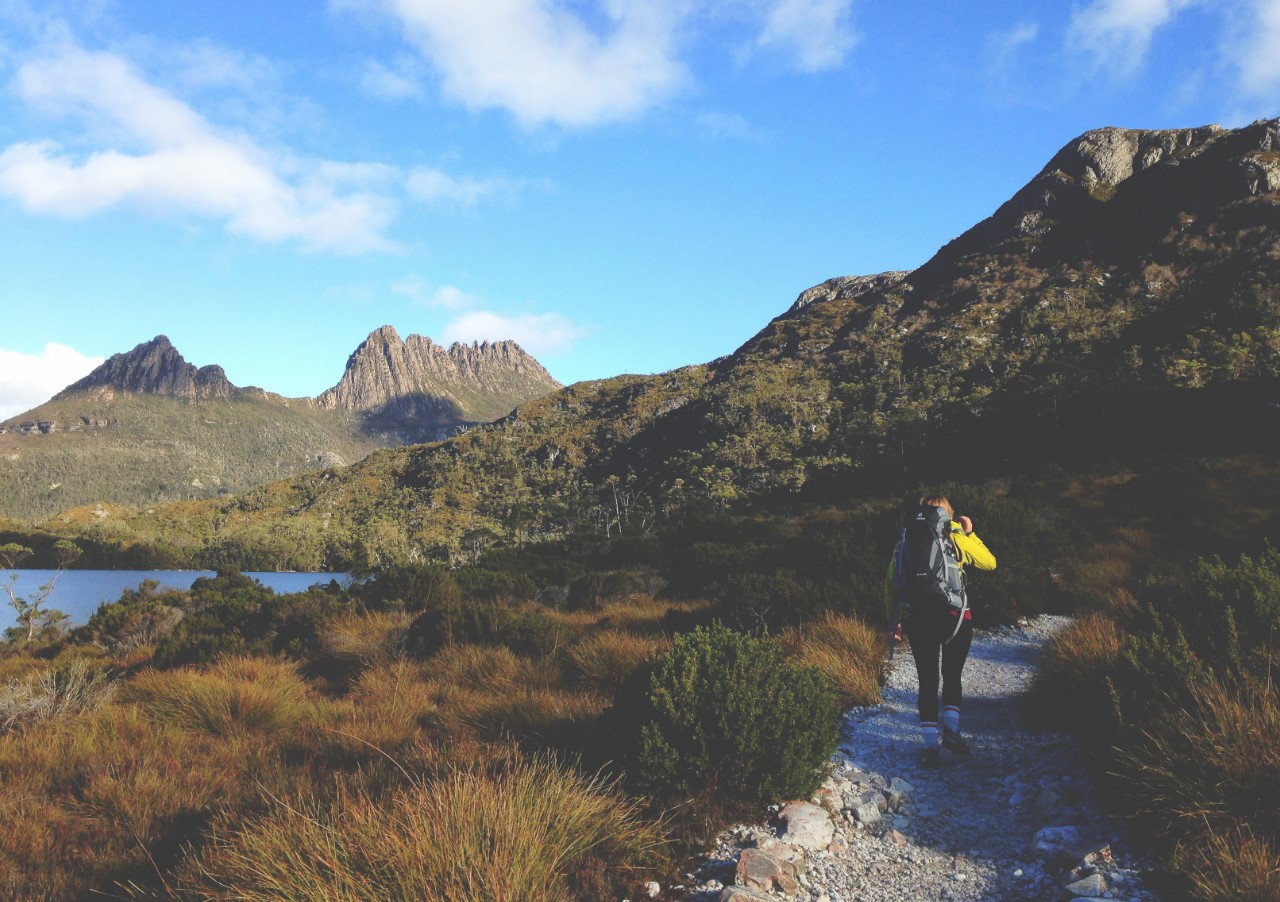 What to Bring on Your First Australian Bushwalking Tour The Travel Love