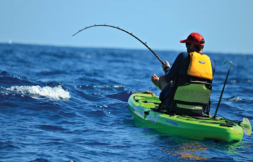 5 Tips To Kayak Like A Pro The Travel Love