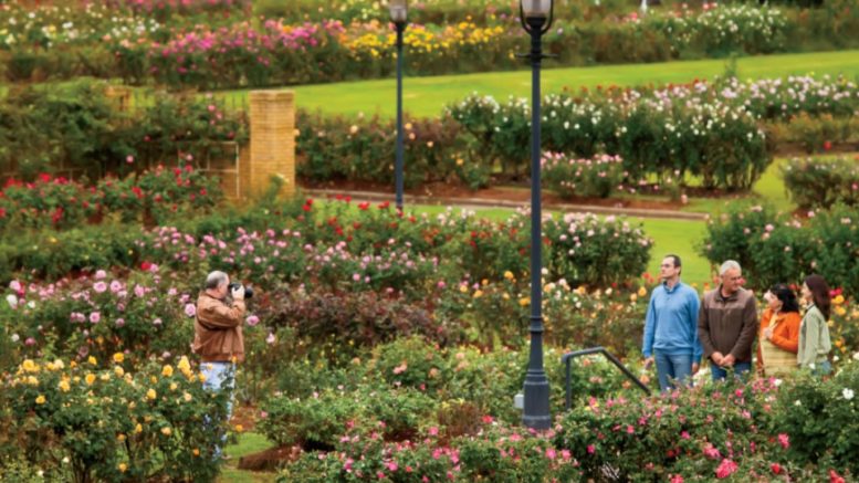 10 Best Things To Do In Tyler Texas The Travel Love