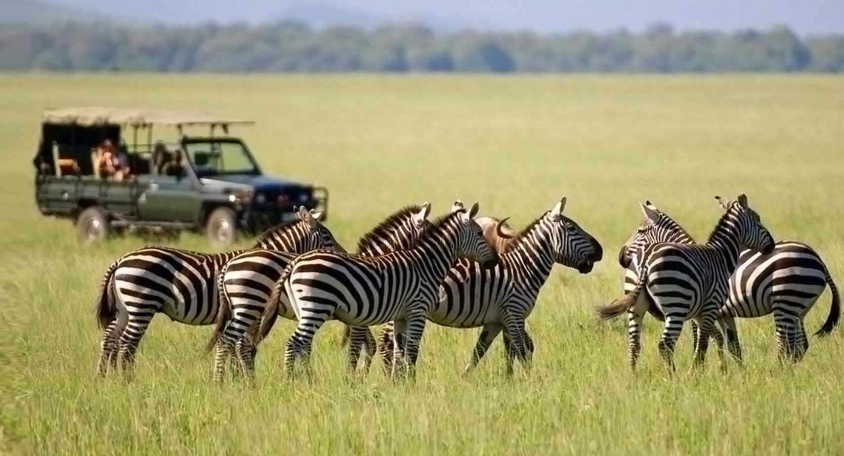ethical safari tanzania
