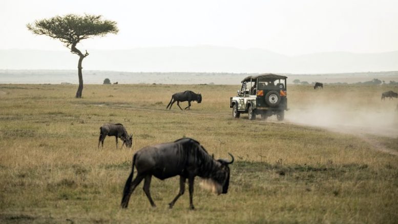 Big five safari Africa